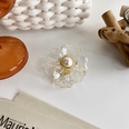 Gentle flower romantic pearl fashion hairpin hairpin shark clip hair accessoriespicture22