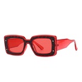 crossborder narrow European and American glasses model square modern sunglassespicture16