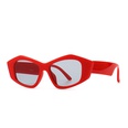 retro sunglasses geometric contrast color wideleg sunglasses wild trend sunglassespicture15