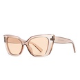 simple European and American modern charm retro cateye frame sunglassespicture17