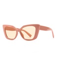 simple European and American modern charm retro cateye frame sunglassespicture18