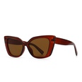 simple European and American modern charm retro cateye frame sunglassespicture19