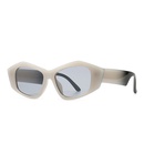 retro sunglasses geometric contrast color wideleg sunglasses wild trend sunglassespicture9