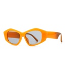 retro sunglasses geometric contrast color wideleg sunglasses wild trend sunglassespicture10