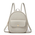 new backpack fashion lychee pattern female bag trend small backpackpicture13