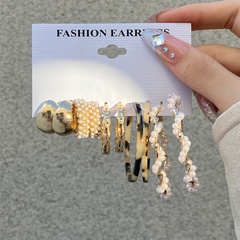 Creative Simple Fashion Leopard Print Twisted Pearl Earrings 5-Piece Set