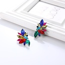 European and American fashion geometric flower alloy diamond earrings female wholesalepicture10