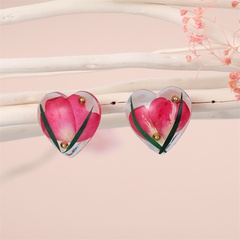 creative resin dried flower eternal flower transparent heart-shaped earrings jewelry