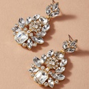 fashion earrings irregular geometric pendant full diamond earringspicture6