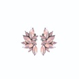 European and American fashion geometric flower alloy diamond earrings female wholesalepicture19