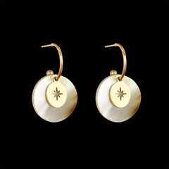 personality Trend niche hollow starlight shell glossy round earrings