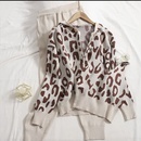 gilet d39automne et d39hiver cardigan  capuche couleur contrastante imprim lopard trois pices tricot femmespicture7