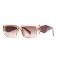 neue europische und amerikanische mode kleine rahmen schmale sonnenbrille damen trendige sonnenbrillenpicture16