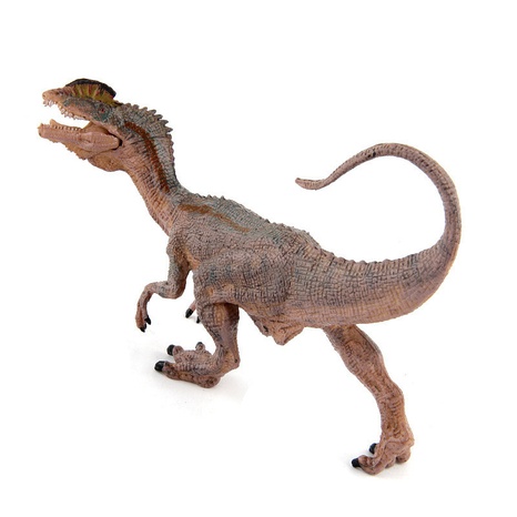 modèle de dinosaure de mode modèle de dinosaure en plastique statique jouets pour enfants's discount tags