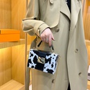 fashion hit color square bag 2021 new winter handbag chain messenger bagpicture6