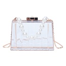 Bolso de gelatina transparente Nuevo bolso femenino de moda Bolso de hombro con cadena de perlas acrlicaspicture13