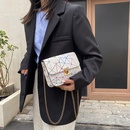 Mode neue Damentaschen Trend einfarbig kleine quadratische Tasche beliebte Umhngetaschepicture12