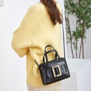 trend handbags solid color crocodile pattern messenger bag metal decoration fashion shoulder bag NHJYX541517picture10