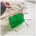 Bolso de gelatina transparente Nuevo bolso femenino de moda Bolso de hombro con cadena de perlas acrlicaspicture14
