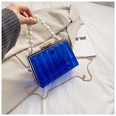 Bolso de gelatina transparente Nuevo bolso femenino de moda Bolso de hombro con cadena de perlas acrlicaspicture15