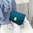 Mode neue Damentaschen Trend einfarbig kleine quadratische Tasche beliebte Umhngetaschepicture16