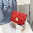 Mode neue Damentaschen Trend einfarbig kleine quadratische Tasche beliebte Umhngetaschepicture19