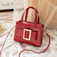 trend handbags solid color crocodile pattern messenger bag metal decoration fashion shoulder bag NHJYX541517picture13