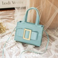 trend handbags solid color crocodile pattern messenger bag metal decoration fashion shoulder bag NHJYX541517picture14