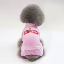 Herbst und Winter Haustierkleidung kleiner Hund Haustierkleidung Cartoon Alphabet Hund vierbeiniger Pulloverpicture5