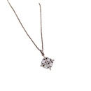 Titanium steel water drop phoenix full diamond zircon necklacepicture12
