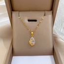 Titanium steel water drop phoenix full diamond zircon necklacepicture7