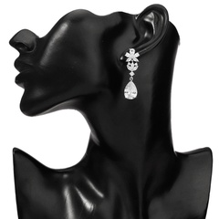 long fashion European and American flower water drop zircon earrings