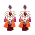 new ethnic style tassel earrings European and American personality jewelry wholesalepicture18