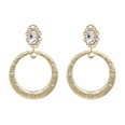 new alloy pattern diamond earrings European and American exaggerated jewelry wholesalepicture21