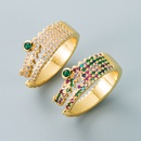fashion personality copperplated gold microset zircon geometric crocodile ring hiphop open ringpicture12