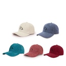 New autumn and winter hat multicolor embroidery dinosaur baseball cappicture7