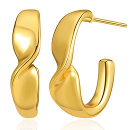 new specialshaped design twisted irregular smooth earringspicture10