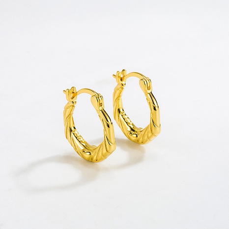 Boucles d'oreilles torsadées en argent à bijoux géométriques simples à la mode's discount tags