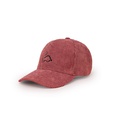New autumn and winter hat multicolor embroidery dinosaur baseball cappicture11