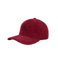 New autumn and winter hat multicolor embroidery dinosaur baseball cappicture12