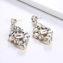 European and American alloy full of diamond fashion drop earringspicture10
