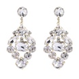 European and American alloy full of diamond fashion drop earringspicture14