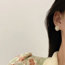 Mode geometrische Perlenohrringe geometrische Perlen Strasslegierung Ohrringe Grohandelpicture16