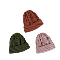 Black hat Korean version of pure color twist woolen hat fashion ear protection knitted hat
