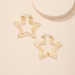European and American exaggerated five-pointed star new alloy earrings wholesale