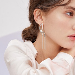 spring and summer new Korean irregular tassel chain earrings wholesale