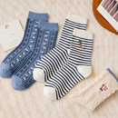 Modesocken blau gestreift mittlere Schlauchstickerei kleine florale Socken aus gekmmter Baumwollepicture4