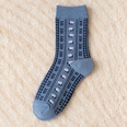 Modesocken blau gestreift mittlere Schlauchstickerei kleine florale Socken aus gekmmter Baumwollepicture9