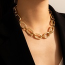 hiphop simple short thick chain singlelayer necklace wholesalepicture25