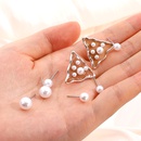 Cute Pearl Stud Earring Set Fashion Earrings Accessories NHHUQ509109picture12